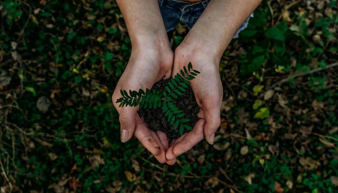 Reducing Crop Failure Risk: The Role of Quality Seeds in Modern Agriculture