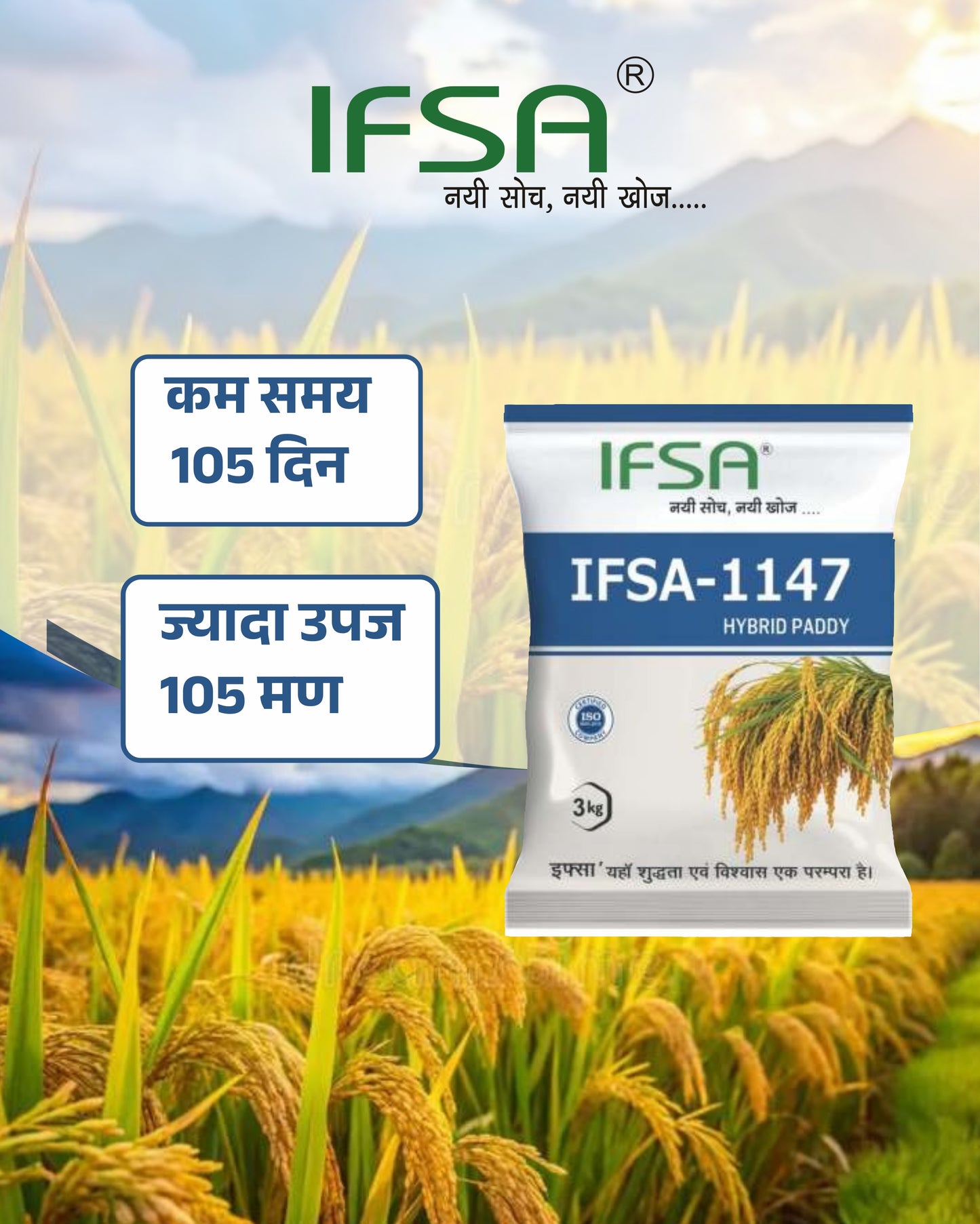 Ifsa 1147 Hybrid Paddy