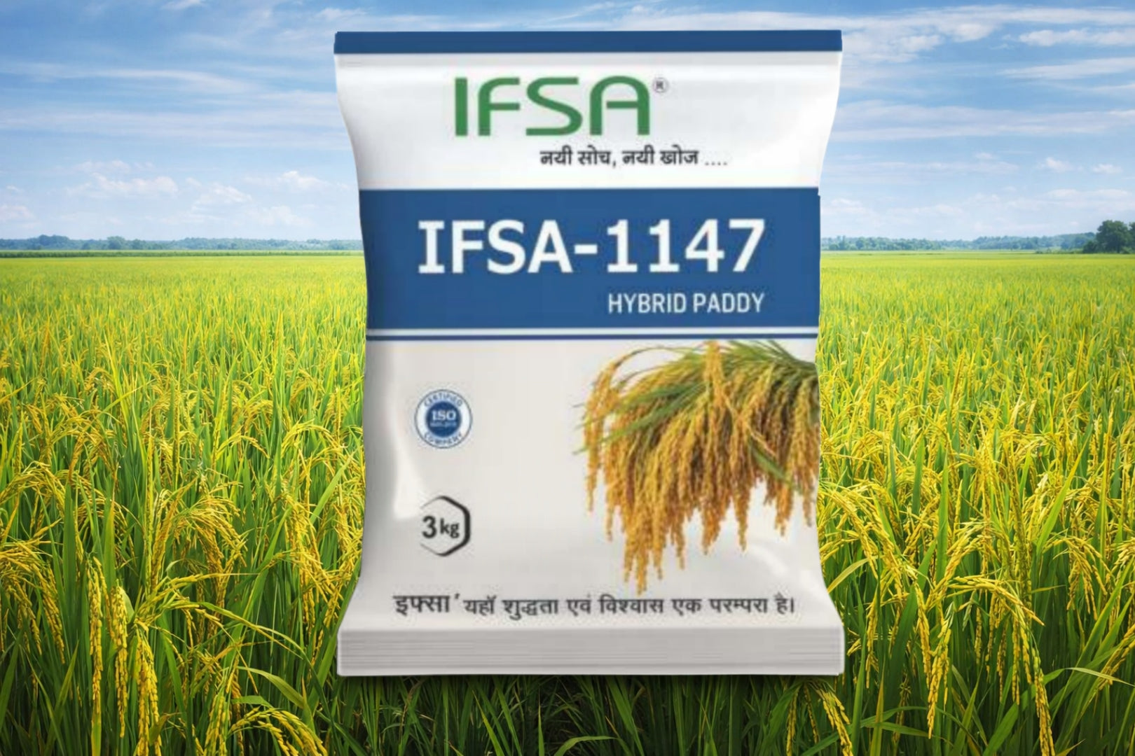 Ifsa 1147 Hybrid Paddy