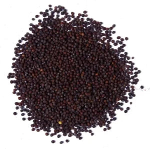 50-blackmustard-50gms-nutiva-original-imagc27bhdtney2j