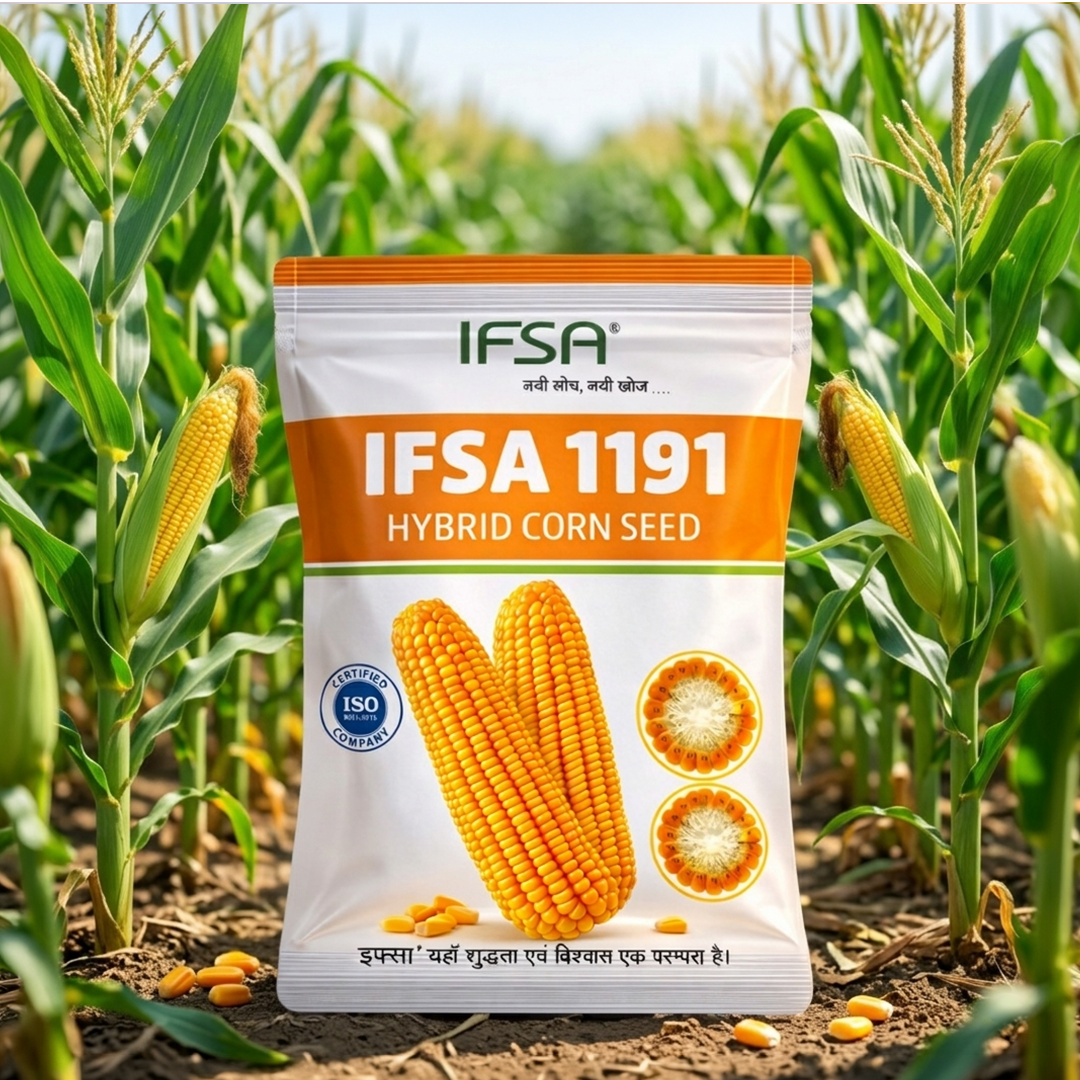 Ifsa 1191 Hybrid Corn Seed