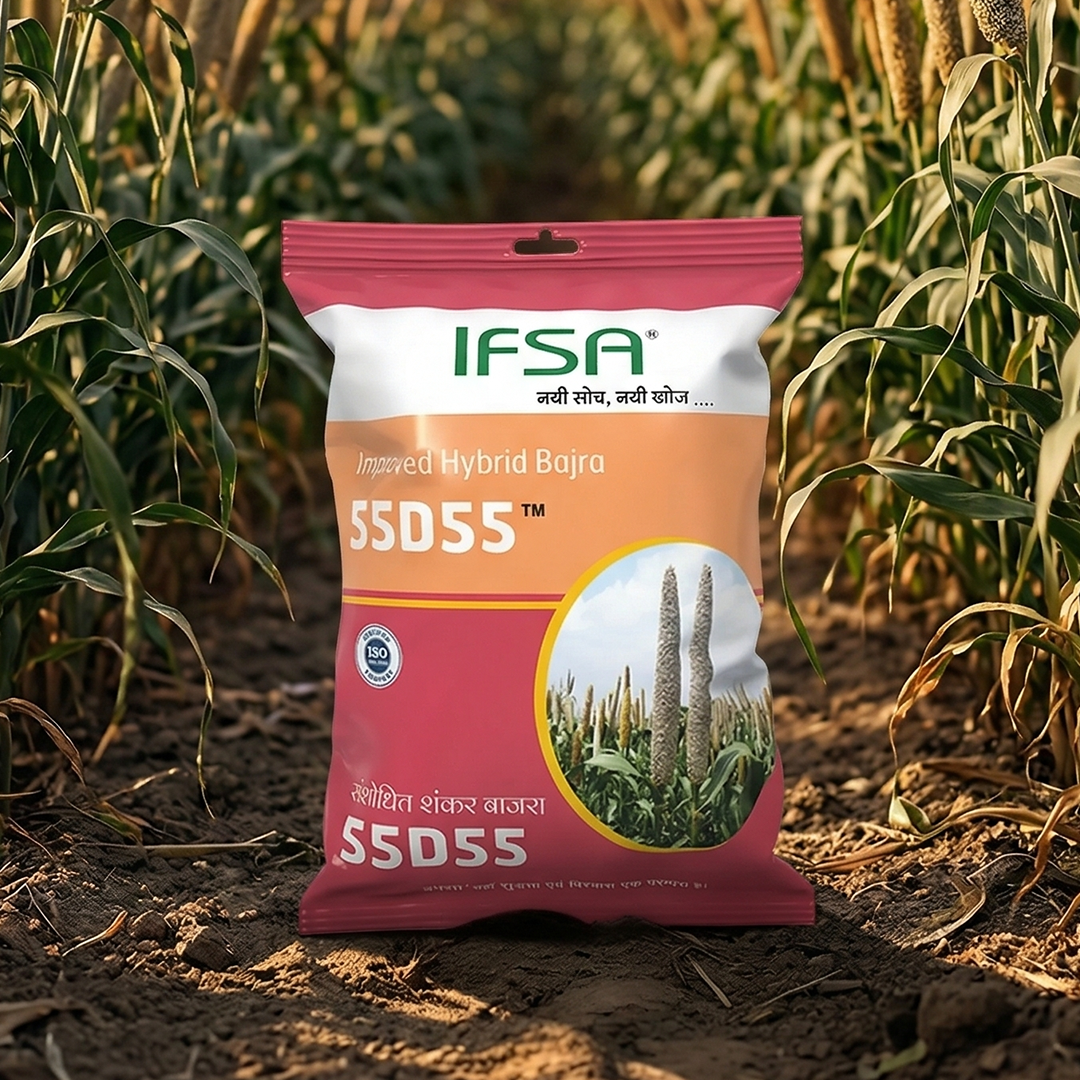 IFSA 55D55 Hybrid Bajra