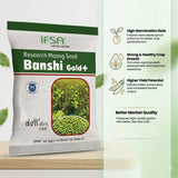 IFSA Banshi Gold +