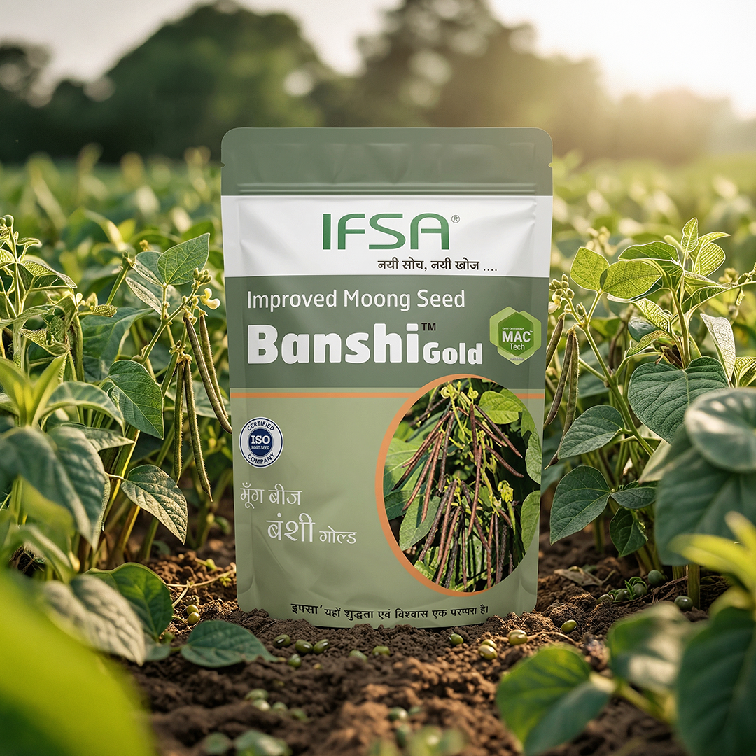 IFSA Banshi Gold 2KG (Green Gram)