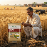 IFSA OJAS Barley Seeds