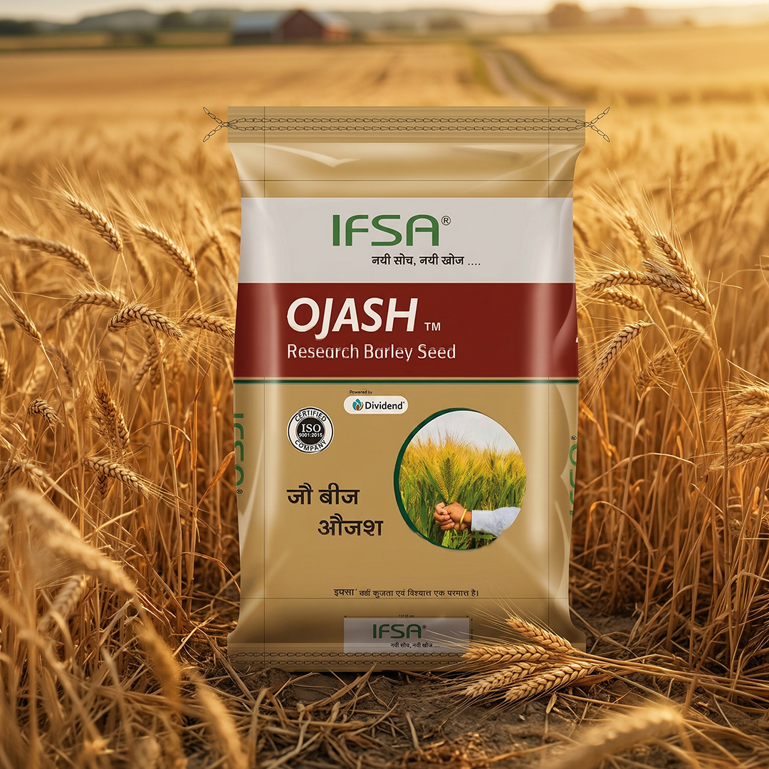 IFSA OJAS Barley Seeds
