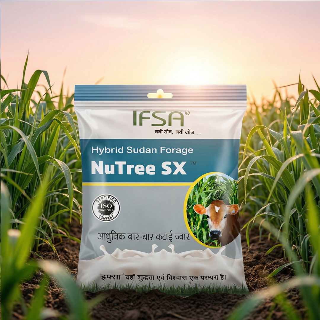 Nutree SX ( Hybrid ) 3 Kg