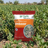 IFSA Gaur Ambaar