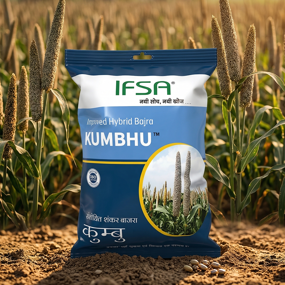 Kumbhu HYBRID BAJRA 1.5KG