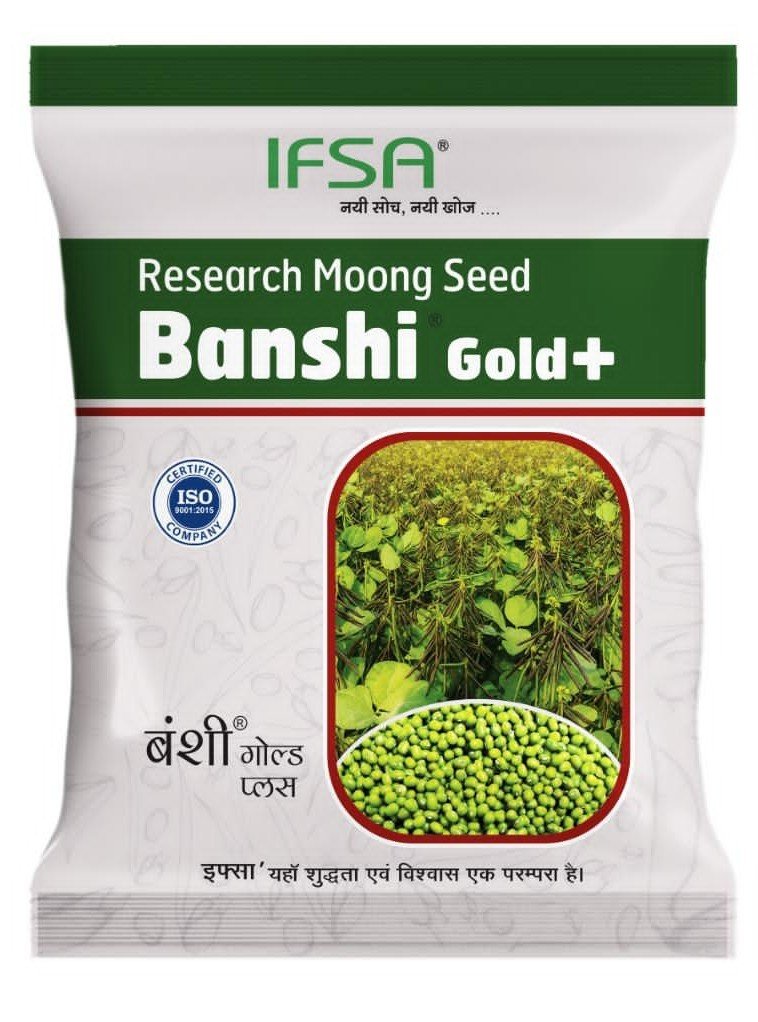 IFSA Banshi Gold +