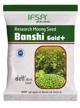 IFSA Banshi Gold +