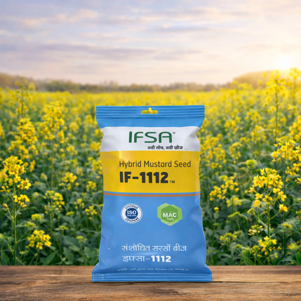 IF - 1112 Hybrid mustard seed