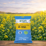 IF - 1112 Hybrid mustard seed