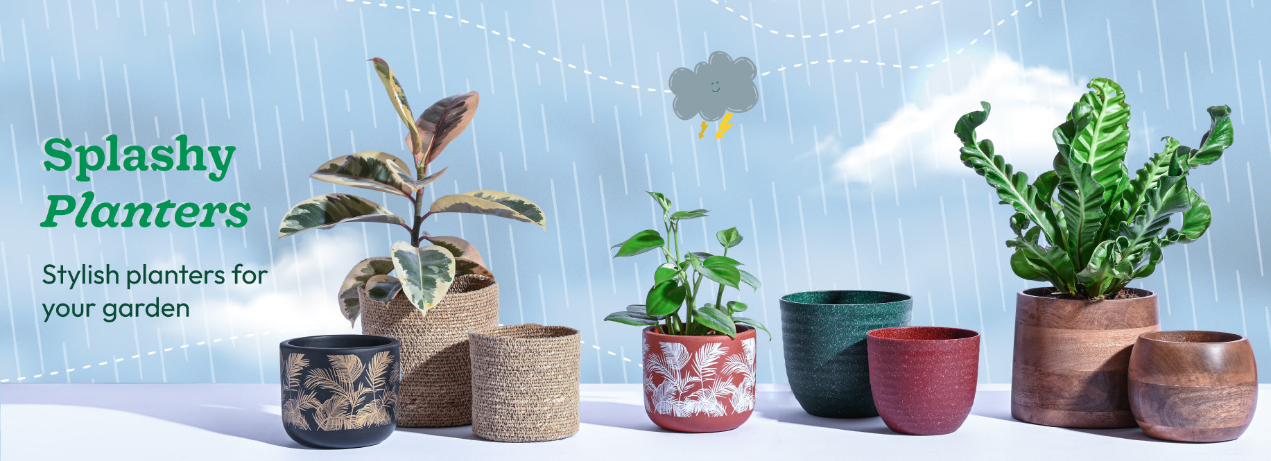 monsoonPlanters